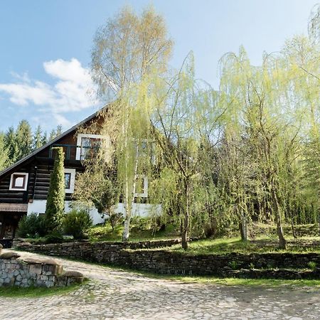Pensiunea Casa Bunicilor Mînăstirea Humorului エクステリア 写真