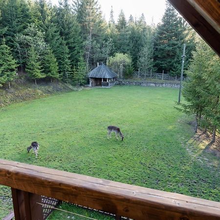 Pensiunea Casa Bunicilor Mînăstirea Humorului エクステリア 写真