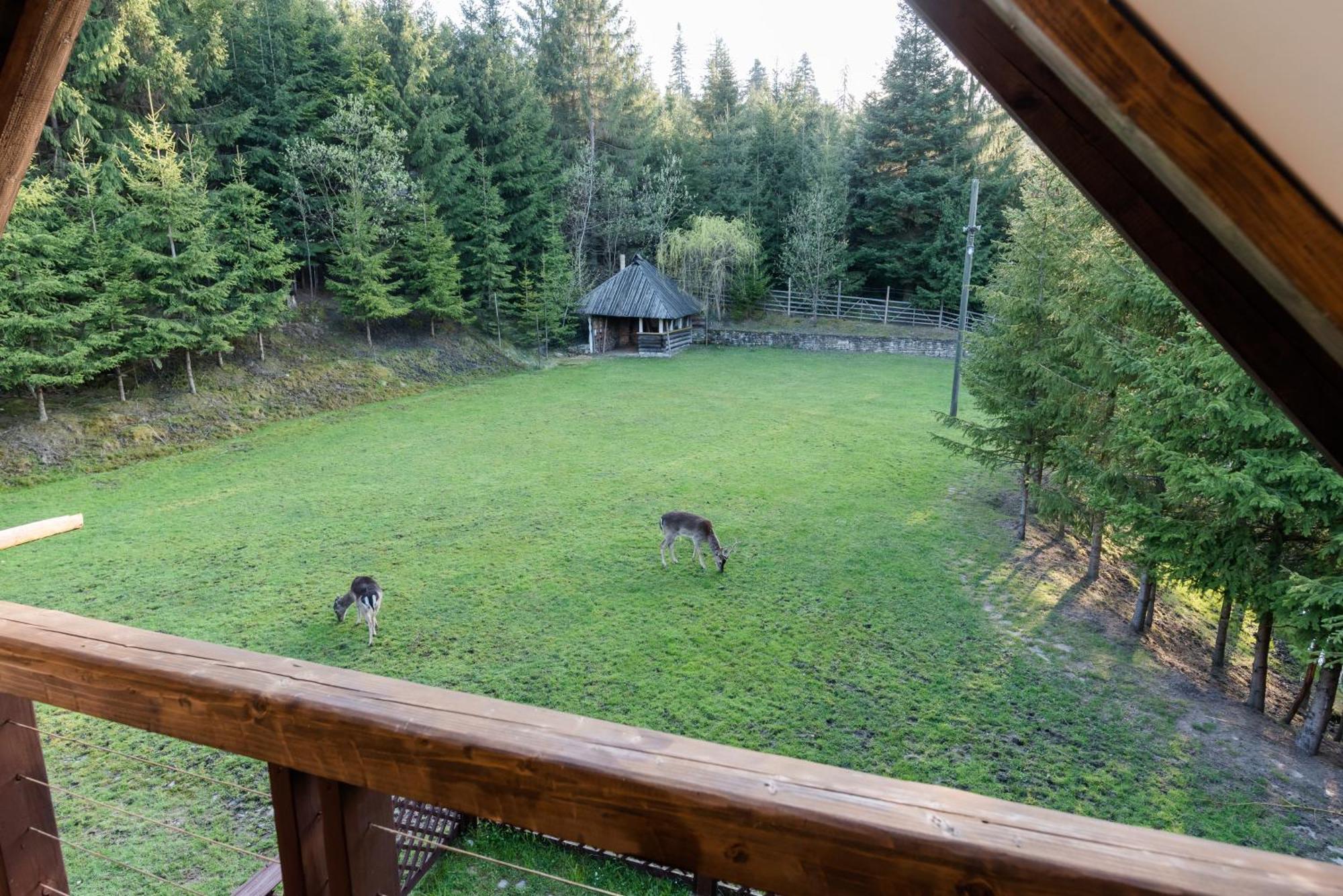 Pensiunea Casa Bunicilor Mînăstirea Humorului エクステリア 写真